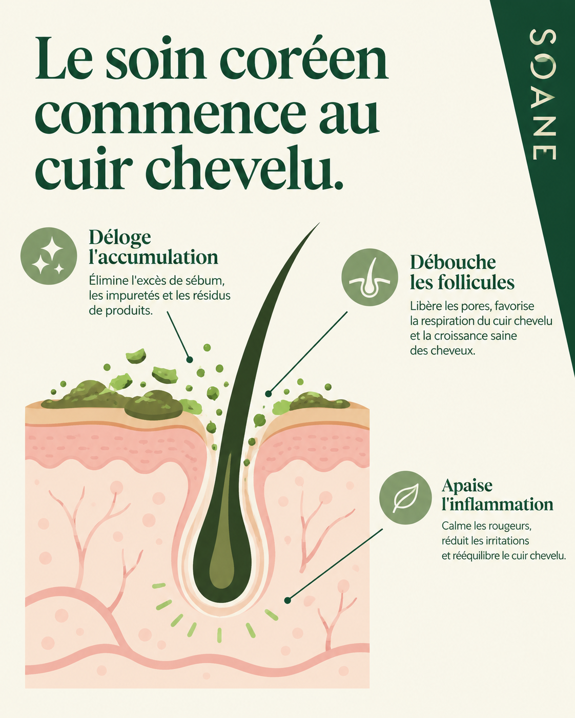 Soin coréen du cuir chevelu